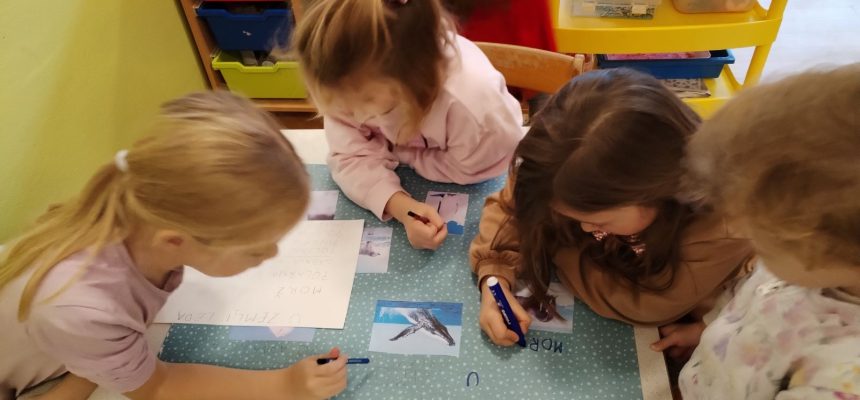 Projektne aktivnosti kao dio pripreme za školu Projektne aktivnosti kao dio pripreme za školu