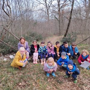 Zečići istražuju okolnu prirodu i šumu Zečići istražuju okolnu prirodu i šumu