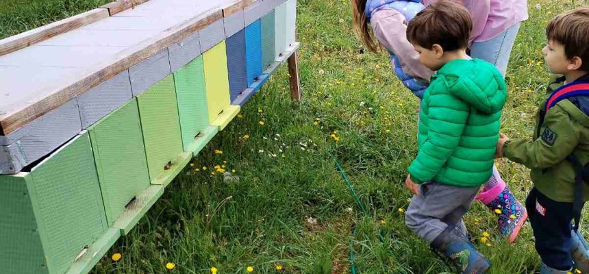 Zečići i Autići u posjetu pčelinjaku Zečići i Autići u posjetu pčelinjaku
